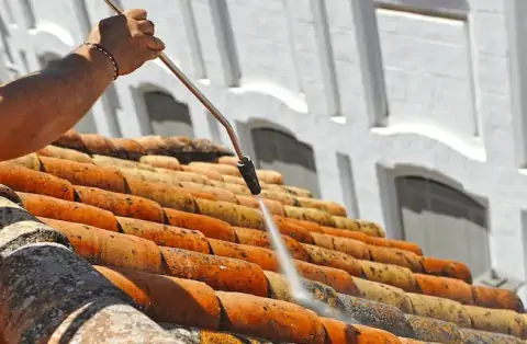 Nettoyage de toitures - Pechs-de-l'Espérance 